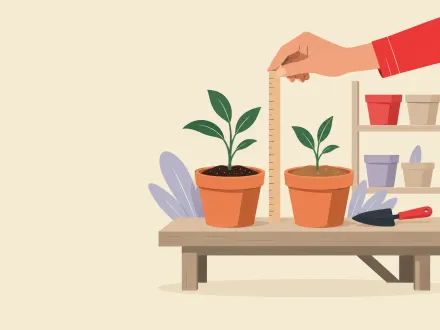 A hand measuring two potted seedlings with a ruler, with empty pots on a shelf behind