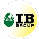IB Group